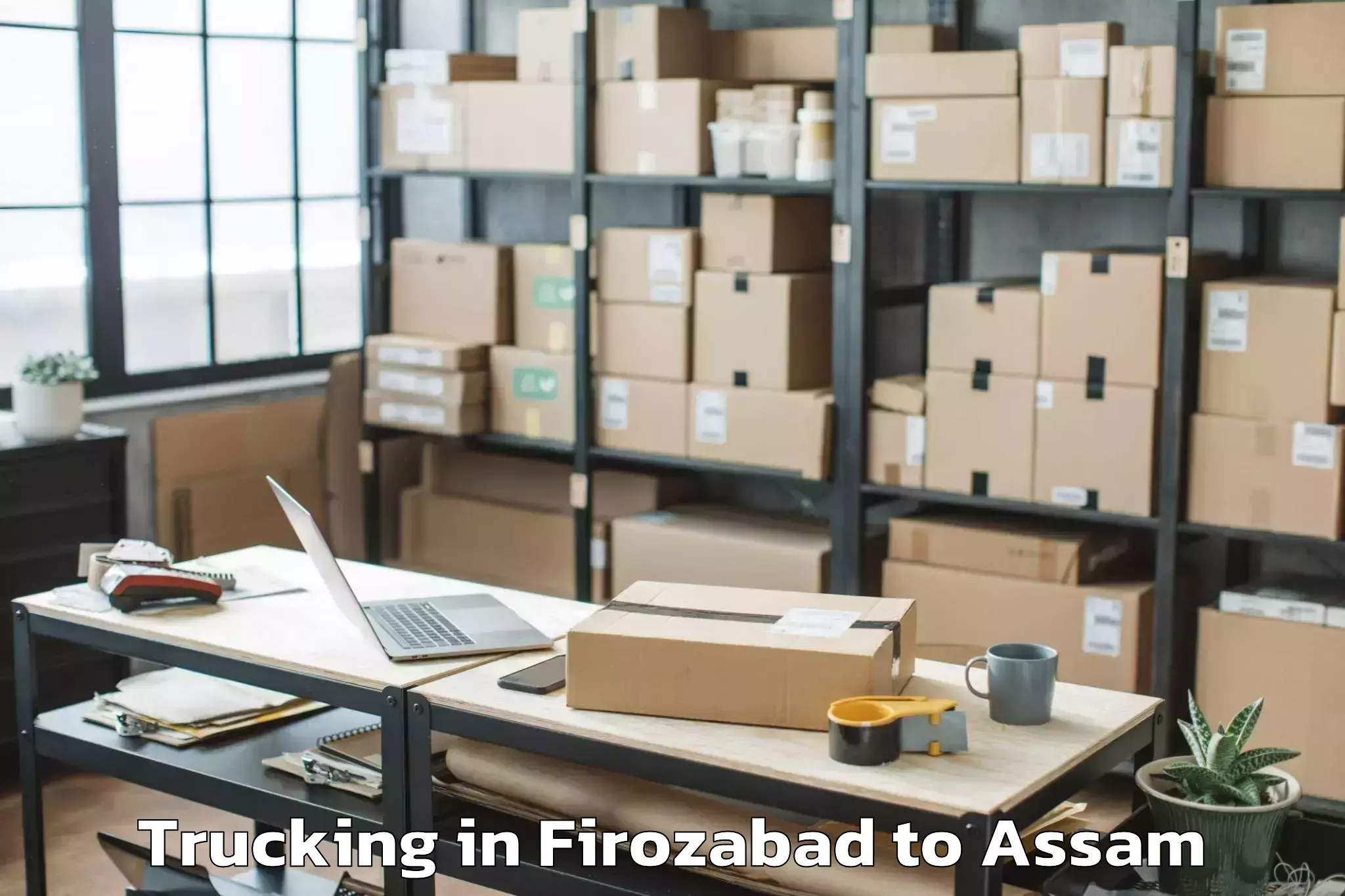 Professional Firozabad to Gossaigaon Pt Trucking